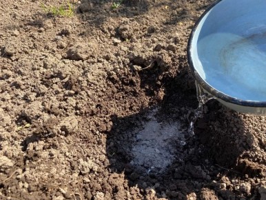 ��� ���������� �������� ��� �� ���� ���������: ����������� ������