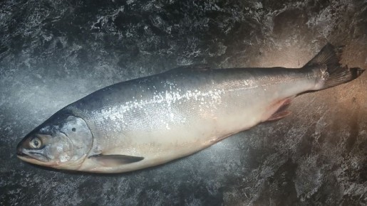 Как выбрать горбушу с икрой и не ошибиться