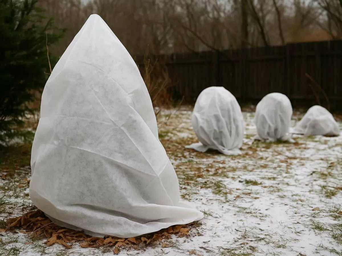 Зимние опасности для растений: как предотвратить разломы под тяжестью снега