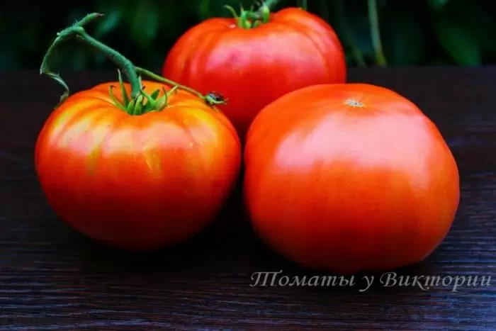 Гигант Больцано на вашей грядке: как вырастить мясистые томаты крупного размера