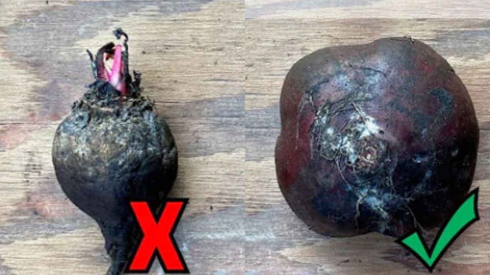 ��� ��������� ������ ������: ������� ������������ �������� �� �������