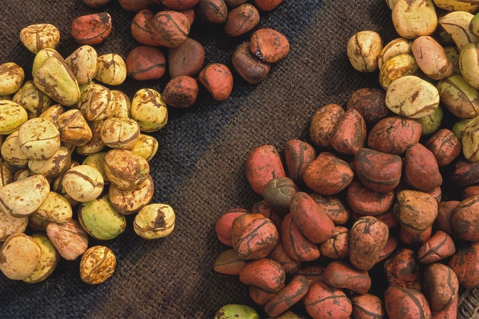 ������������ ������� ������ ����: �� ������� ������ �� ������������ �������