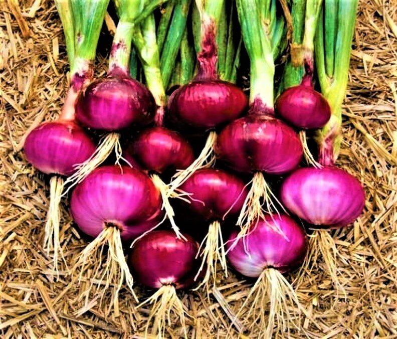 ��� ���������� ����������� ��� � �������: ������ �� ��������� ����� �� �������� � ����������