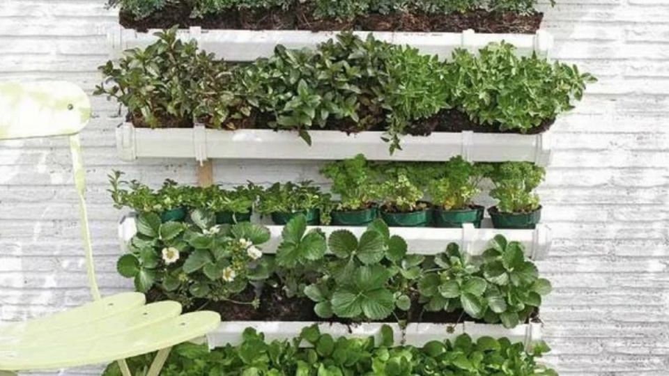 ��� ������������ ������ �� ������� �������� ������ � ���������� ��������������