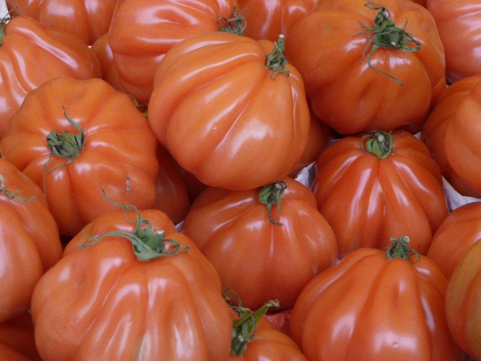 ��� ������������� ������� �� ���������: ������ ��� ���������