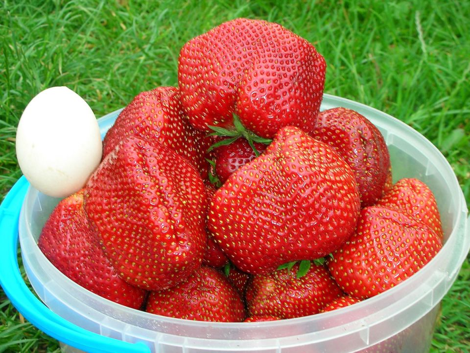 ��������, ������� ��������: ��� ������� �������� ����� �������� � �����