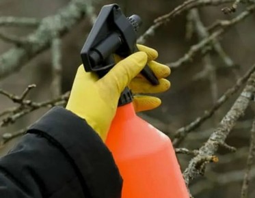 ������� ������������ ��������: ��� ��������� ����� ������ ��� ���