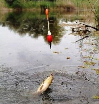 ������ ������ ���� ������ ���������, � �������� � �����?