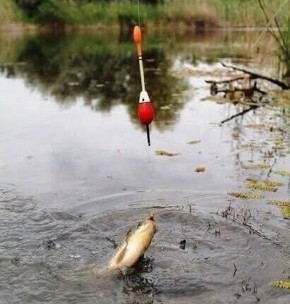 ������ ������ ���� ������ ���������, � �������� � �����?