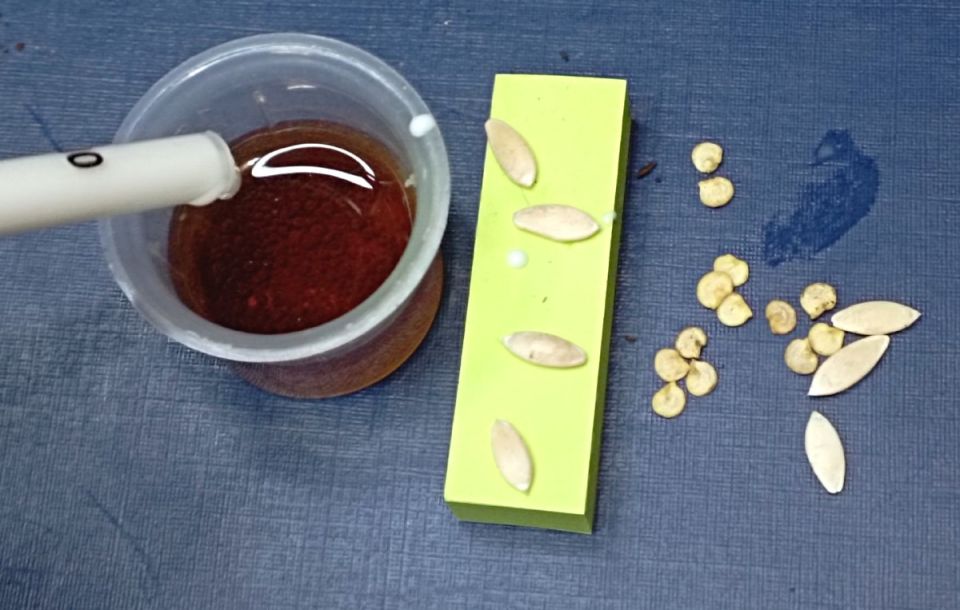 ���-5 ������� ��� ������� �������: ������ ��� ��������� ������