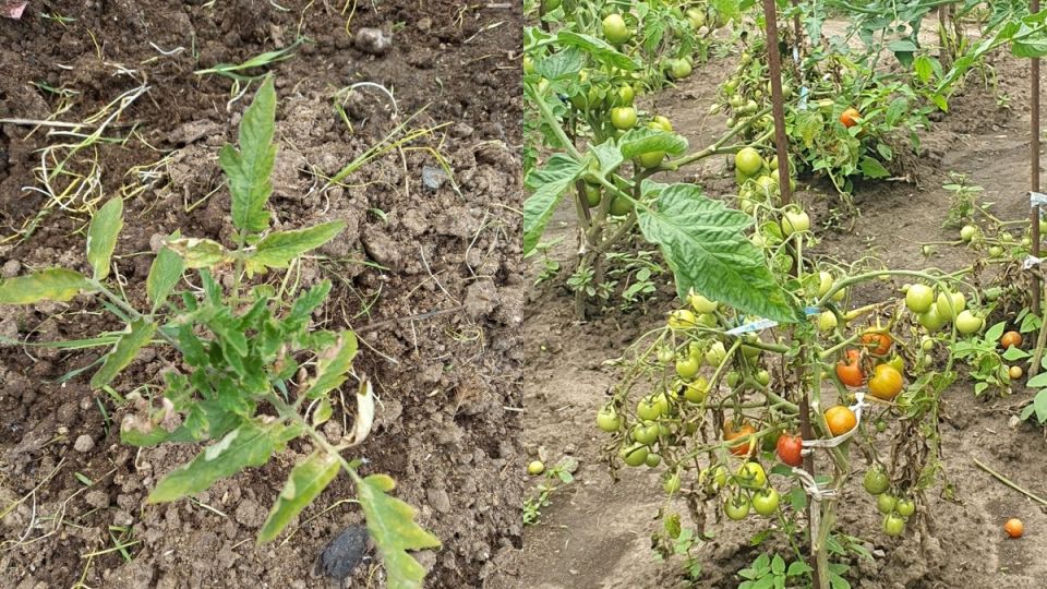 ���������� ������: ��� �� �������� ���� �� ������� ������