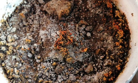 ����� ����� �� �����: ��� ���������� � ��������� � ��������� �������� ��������