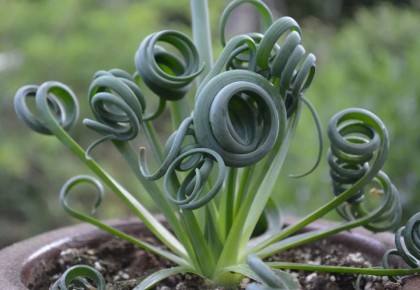 ������� ����������: ������ �� ����������� � �������� �����