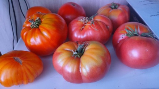 �������� �������: 40 ������������ ������ � ����� �������