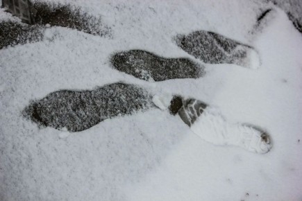 �������� ����������� ���� ��������� � �������� �������