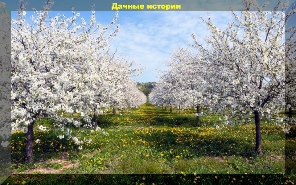 � ����� �� ������: ��������� ����� �� ������� � ������ ��� ����������� �������