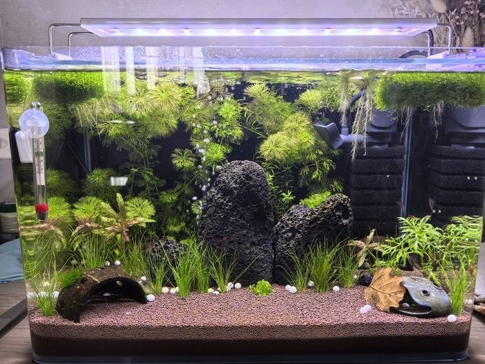 �������� � ���������: ������� � ��������� �������