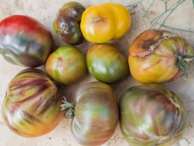 ��� �������� ������ �� �����������: ����������� ������ ��� ��������