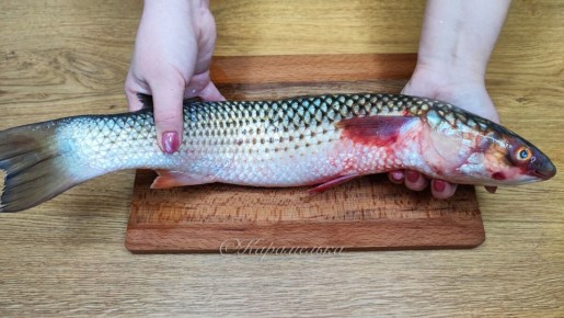 �������� ���� �������� ���������: ������ � �������������� ����� �� �������