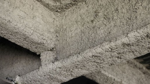 ������� ��������������: ��� ����� �������� �� ������