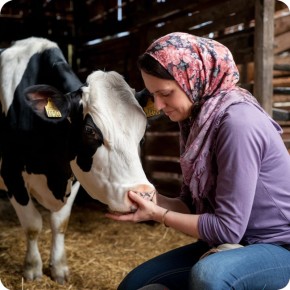 ��� �������� � ������� ������� � ������� �������� � ����������� �������