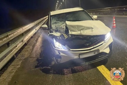 ��� �� ������ �11 � �������� ������� ������� � ������������� ��������