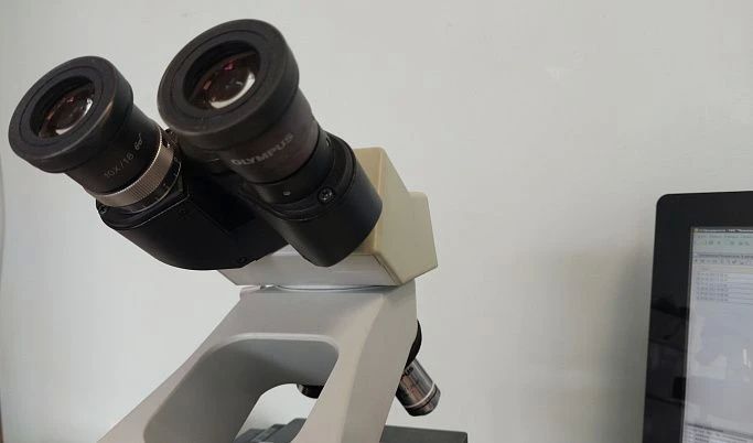 � �������� ������� ���������� ���������� ���������� ���������� ������ ������ ��������� ��������