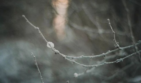 � ����� ������� ���������� ��������� ���� 0 ��������