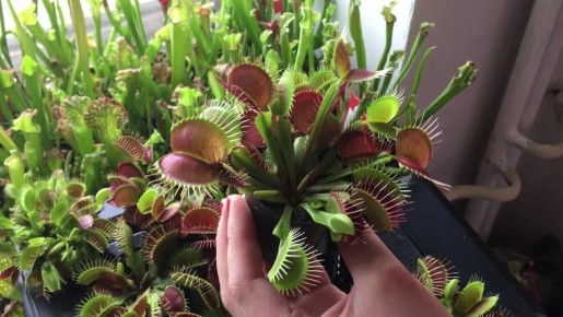 ������ ������ � ����� �� ��������� ����������