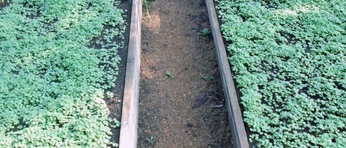 ����� � �������: ������� ���������� ����� �� ����