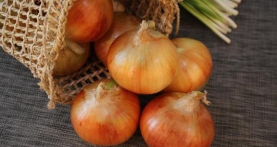 ��� ��������� �������� ���-����� ������: ����������� ������