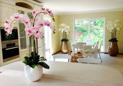 ������� ���: ����� ����� ������� ��� ������ ����