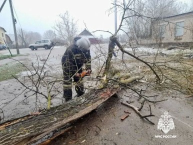 ��� ����������� ����������� �������� � �������� �������