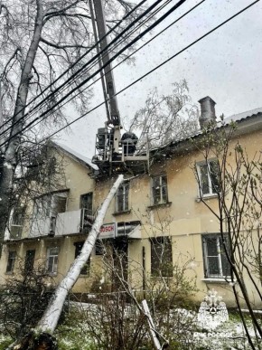 ���������� ���� ������ ������� ������ �� �������� ������ � �����