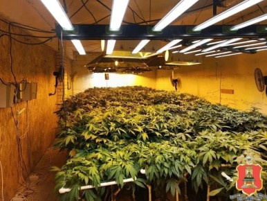 � �������� ������� �������� ��� ������� ����������