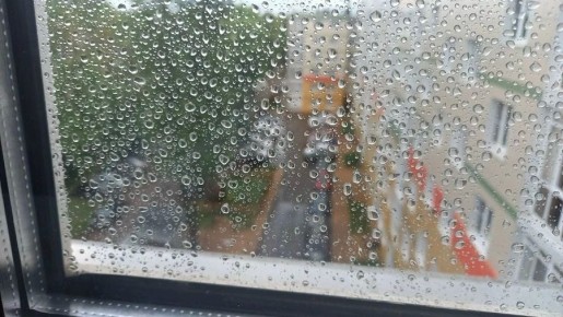 ������ ���� � �����: � ������������ ������ ����� �������� ����� �������