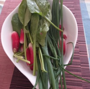 ��� ������������ ������ ������ ����� ���� ���