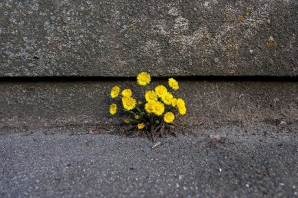 �������� �������: ��������� ����������, ����� ����� ���������� ����������