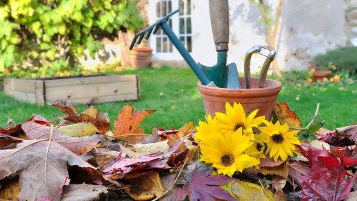 ����������� ������: ��������� �� �������