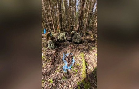 � �������� ������� ���������� ���������� ������� �������������