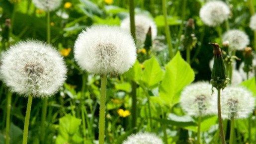 ��� ���������� ����������: ������� ������ � ������������ �� ����� �������