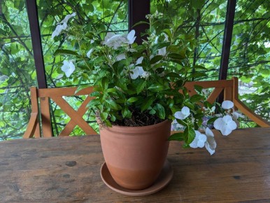 ������ � �� ������ ������������ �������, ��������� � ����������?