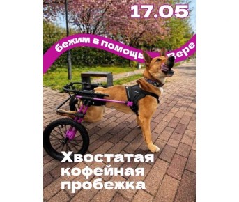 � ����� ������� ����������������� ����� � ����������