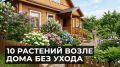 ��������� �������� ��� ��������� �����������: 10 ������������� ��������� ��� ������ ����
