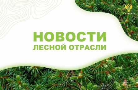 ТАСС: Рослесхоз через суд вернул в госсобственность более 21 тыс