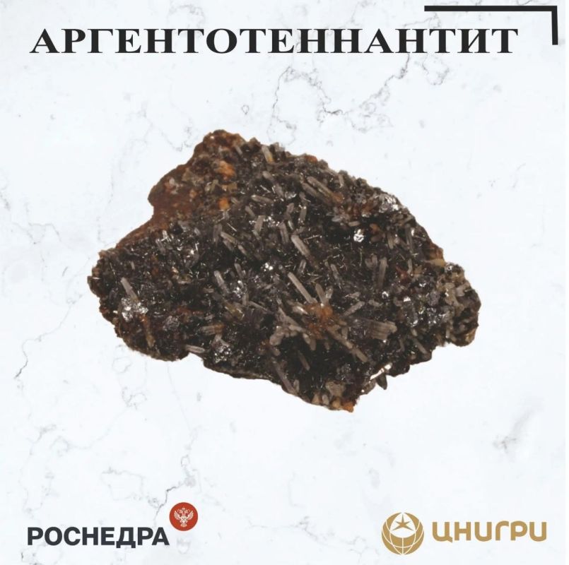 В эту среду ЦНИГРИ. расскажет об аргентотеннантите