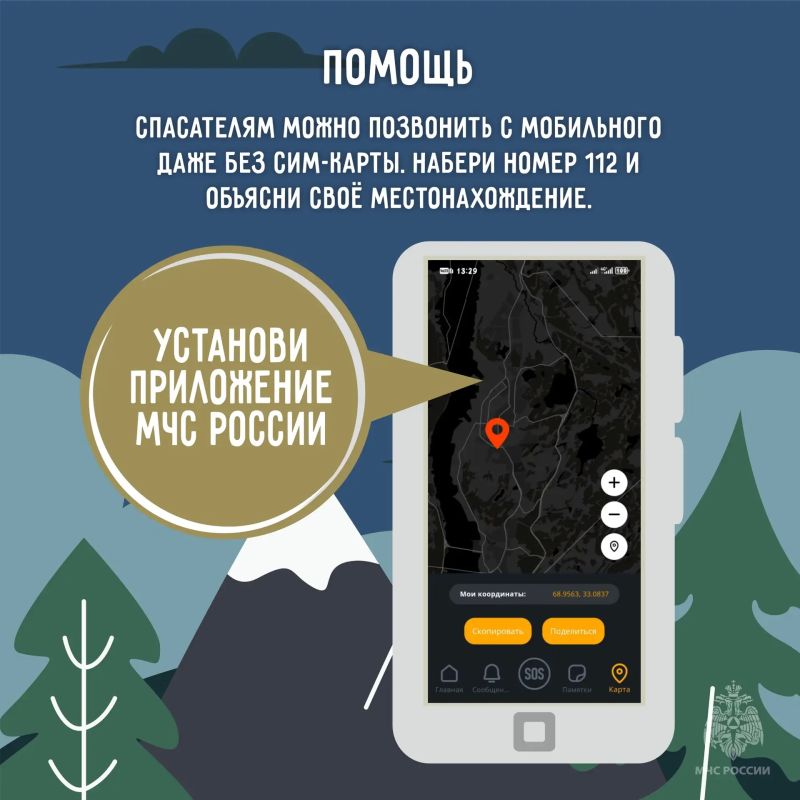 Лесные прогулки, походы и пикники – любимый вид досуга для многих наших жителей и гостей региона Лесные прогулки, походы и пикники – любимый вид досуга для многих наших жителей и гостей региона
