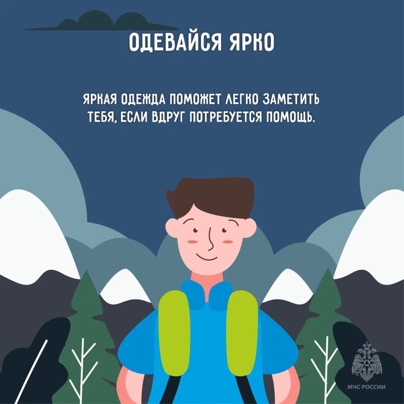 Лесные прогулки, походы и пикники – любимый вид досуга для многих наших жителей и гостей региона Лесные прогулки, походы и пикники – любимый вид досуга для многих наших жителей и гостей региона