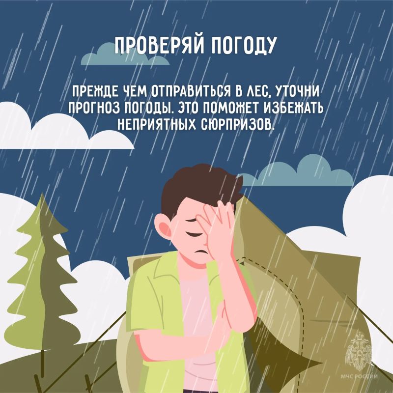 Лесные прогулки, походы и пикники – любимый вид досуга для многих наших жителей и гостей региона Лесные прогулки, походы и пикники – любимый вид досуга для многих наших жителей и гостей региона