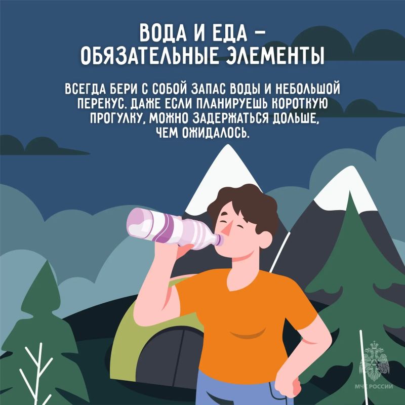 Лесные прогулки, походы и пикники – любимый вид досуга для многих наших жителей и гостей региона Лесные прогулки, походы и пикники – любимый вид досуга для многих наших жителей и гостей региона